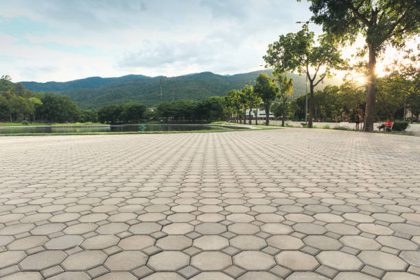 Professional Driveway Pavers in Leland Grove, IL